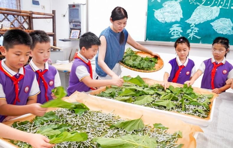 浙江安吉：桑蚕文化进校园