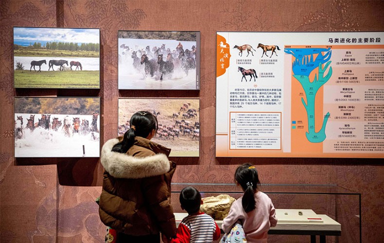 博物院里找“马”