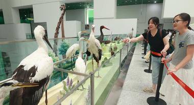 北京：“京华飞羽——北京常见鸟类专题展”开展